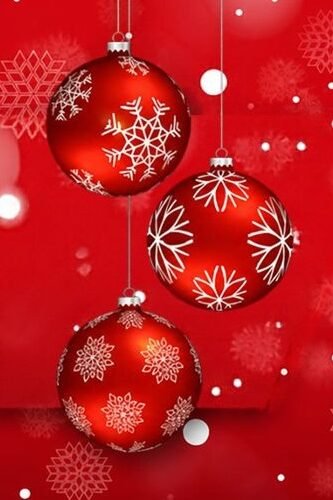 Two-Hour Website Development Session | Black Friday Offer