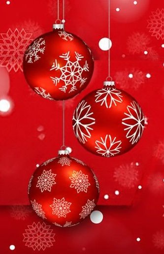 Two-Hour Website Development Session | Black Friday Offer